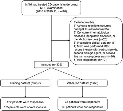 MRI-Based Radiomic Signature Identifying Secondary Loss of Response to Infliximab in Crohn's Disease